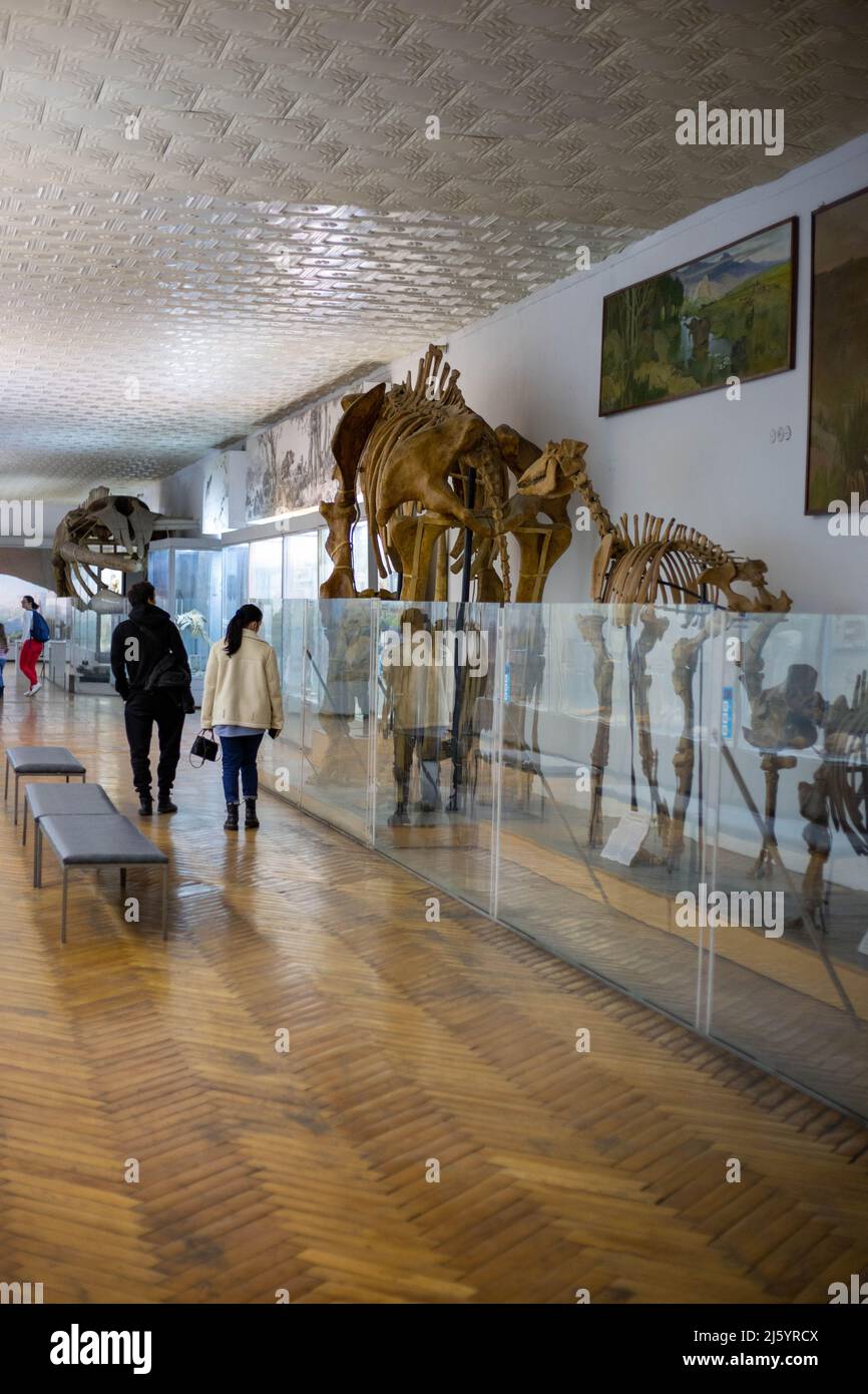 Kiev, Ucraina 04.25.2022 Gruppo di persone che visitano il museo delle scienze naturali con gli scheletri delle antiche creature Foto Stock