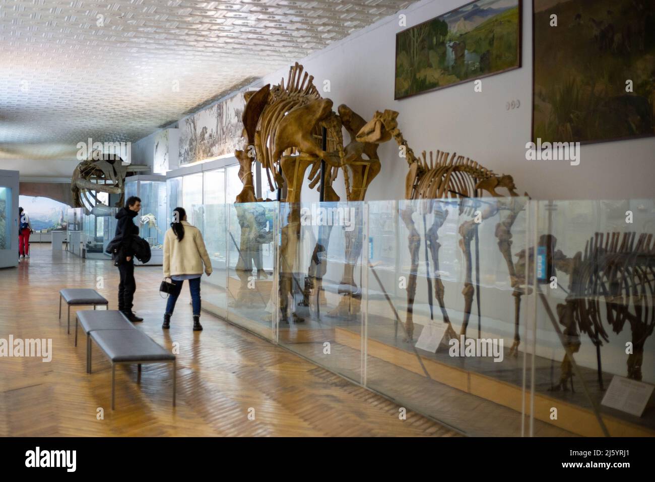 Kiev, Ucraina 04.25.2022 Gruppo di persone che visitano il museo delle scienze naturali con gli scheletri delle antiche creature Foto Stock