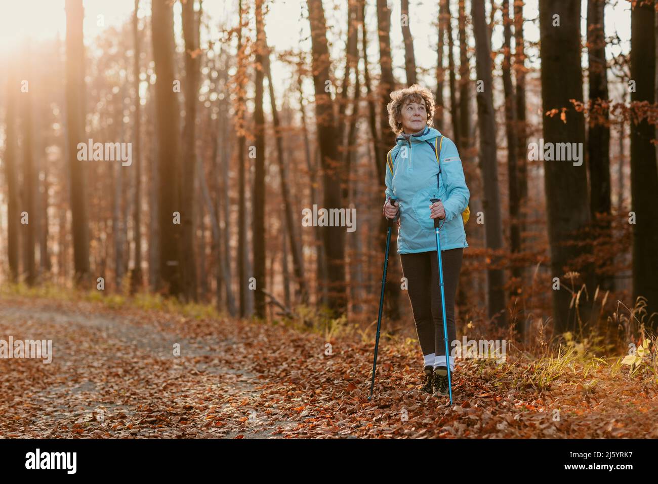Donna anziana con Trekking Poles in piedi in legno. Tutta la lunghezza dell'escursionista femminile con bastoncini da trekking che prendono la pausa da Walking in Woods. Foto Stock