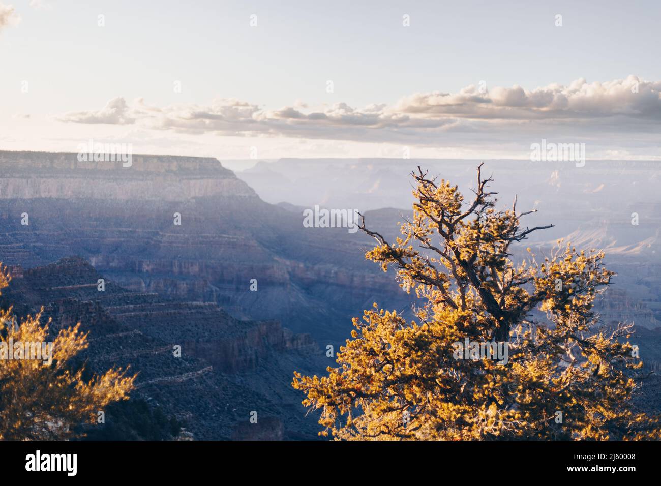 Parco Nazionale del Grand Canyon Foto Stock