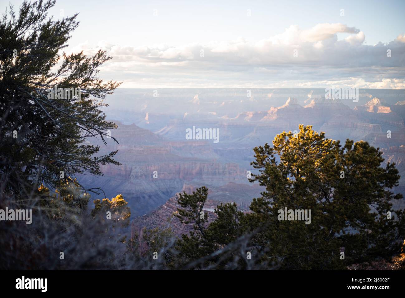 Parco Nazionale del Grand Canyon Foto Stock