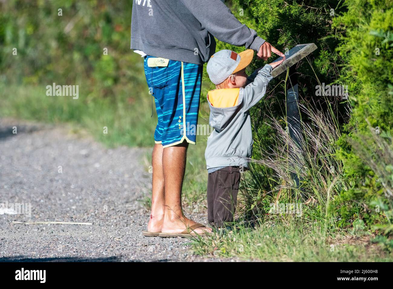 Papà che insegna al bambino durante la passeggiata al rifugio faunistico Foto Stock