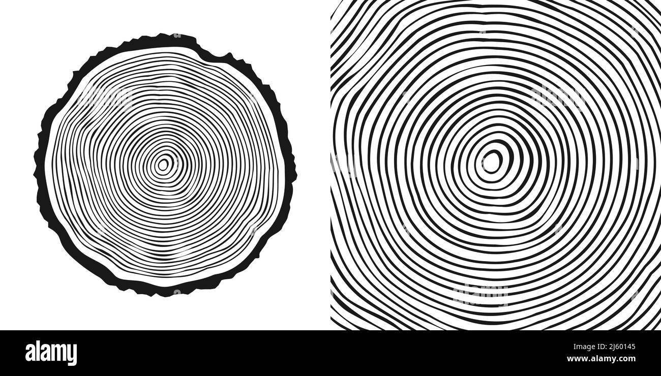 Tronco di albero rotondo tagliato, segato pino o fetta di quercia. Legname tagliato da poco, legno. Tessitura di legno con anelli di albero. Schizzo disegnato a mano. Illustrazione vettoriale Illustrazione Vettoriale