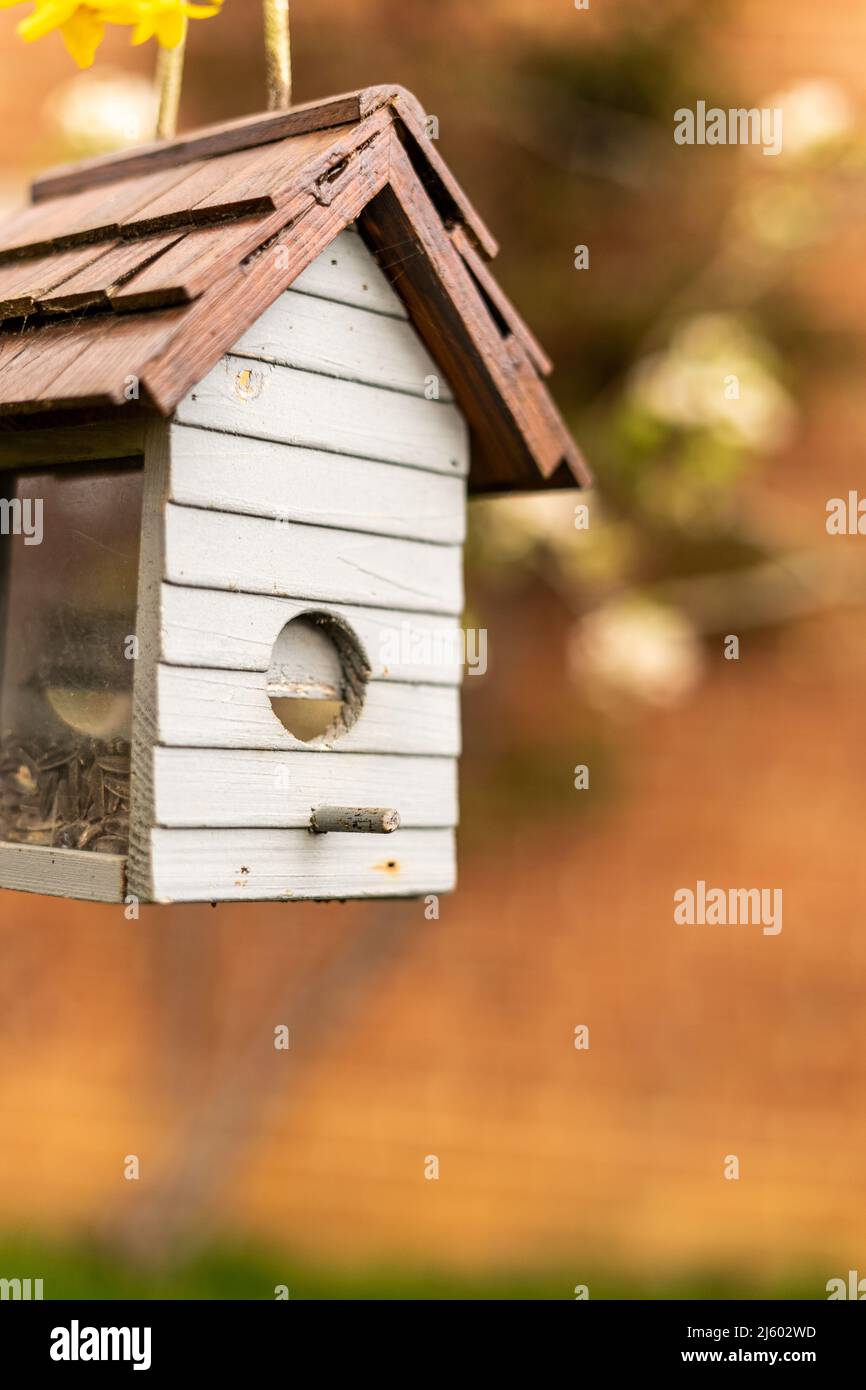 Alimentatore di uccelli in forma di una piccola casa con vetro sui lati per vedere gli uccelli che mangiano da esso. Birdhouse fatto di legno in bianco e marrone, casa di uccelli per Foto Stock