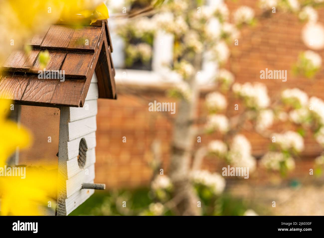 Alimentatore di uccelli in forma di una piccola casa con vetro sui lati per vedere gli uccelli che mangiano da esso. Birdhouse fatto di legno in bianco e marrone, casa di uccelli per Foto Stock