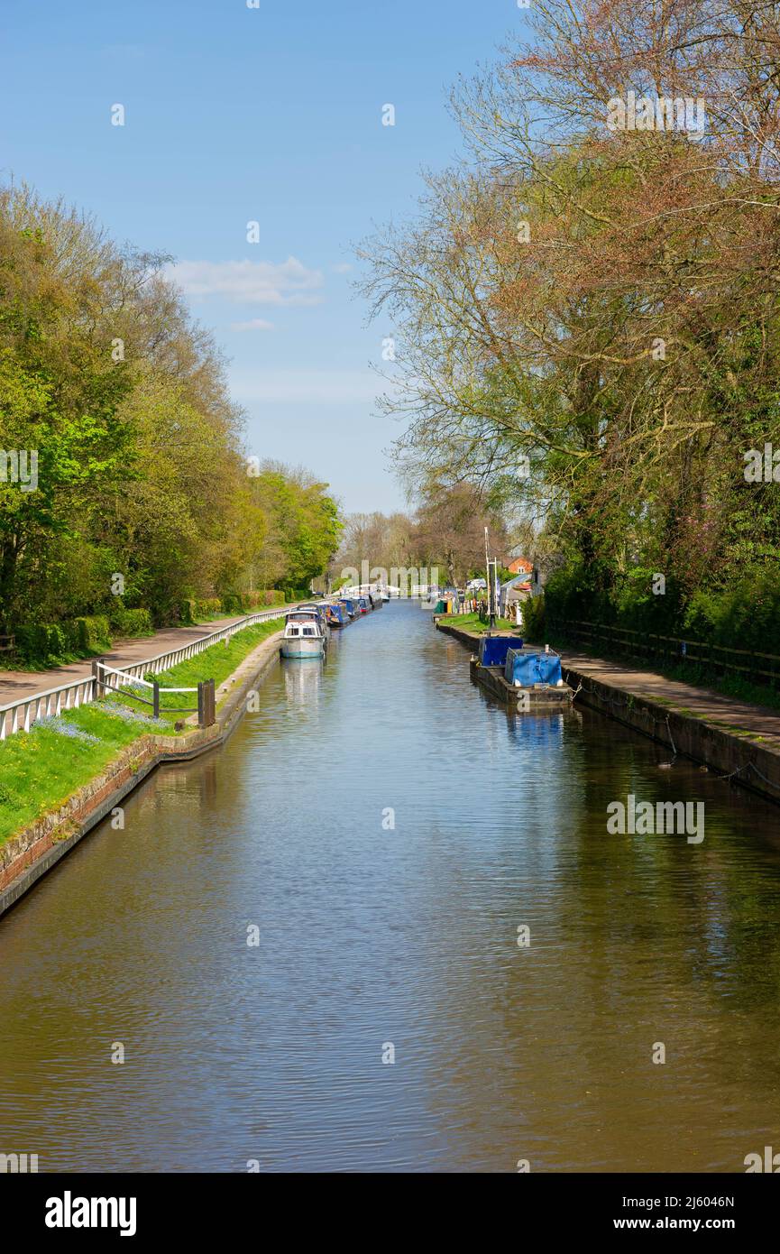 Barche strette a Fradley Junction, Staffordshire, Inghilterra Foto Stock