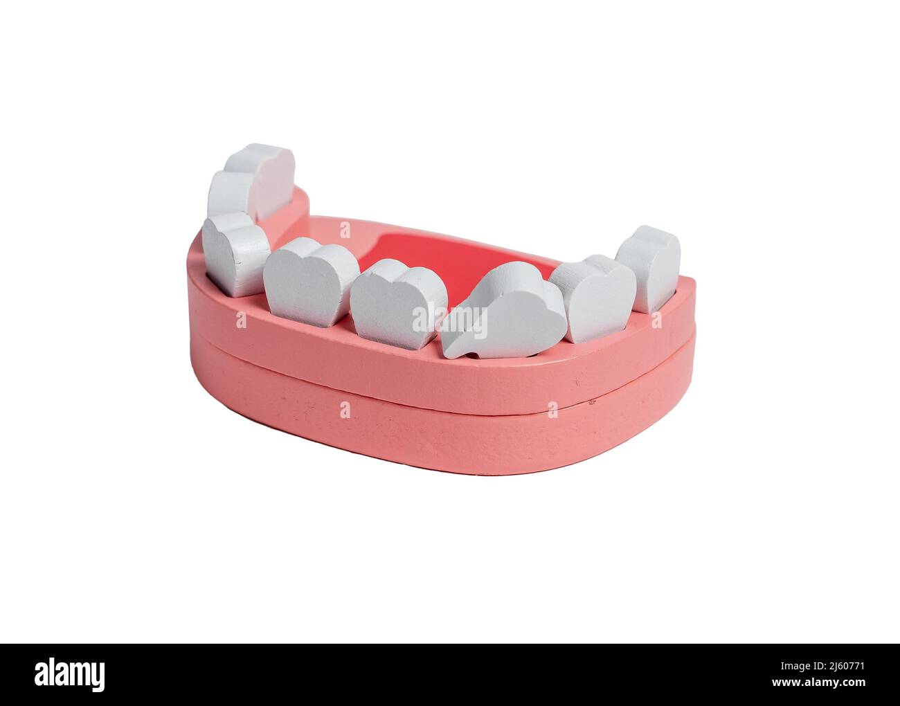 Perdita di dente di latte. Modello di mandibola umana in legno isolato su sfondo bianco. Denti decidui, del bambino. Giocattolo per bambini. Foto di alta qualità Foto Stock