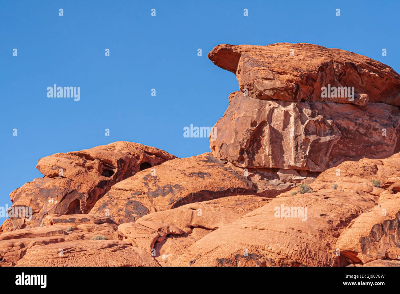 Overton, Nevada, USA - 24 febbraio 2010: Valle del fuoco. Roccia rossa a forma di tartaruga sulla cima di un cumulo di massi sotto il cielo blu. Foto Stock