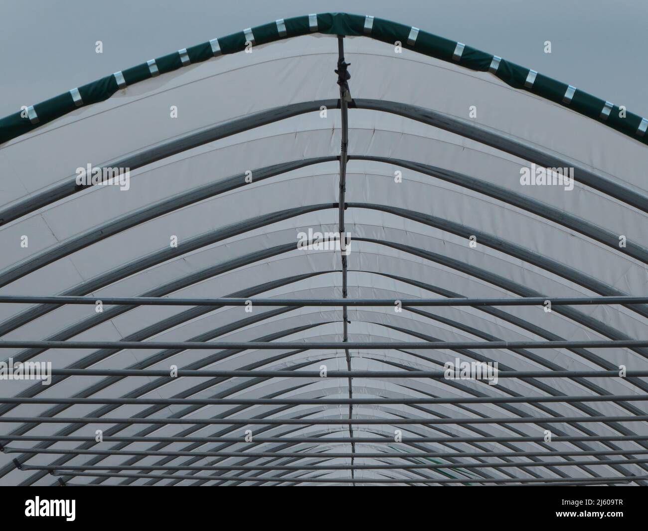 Linee e curve di un tetto serra Foto Stock