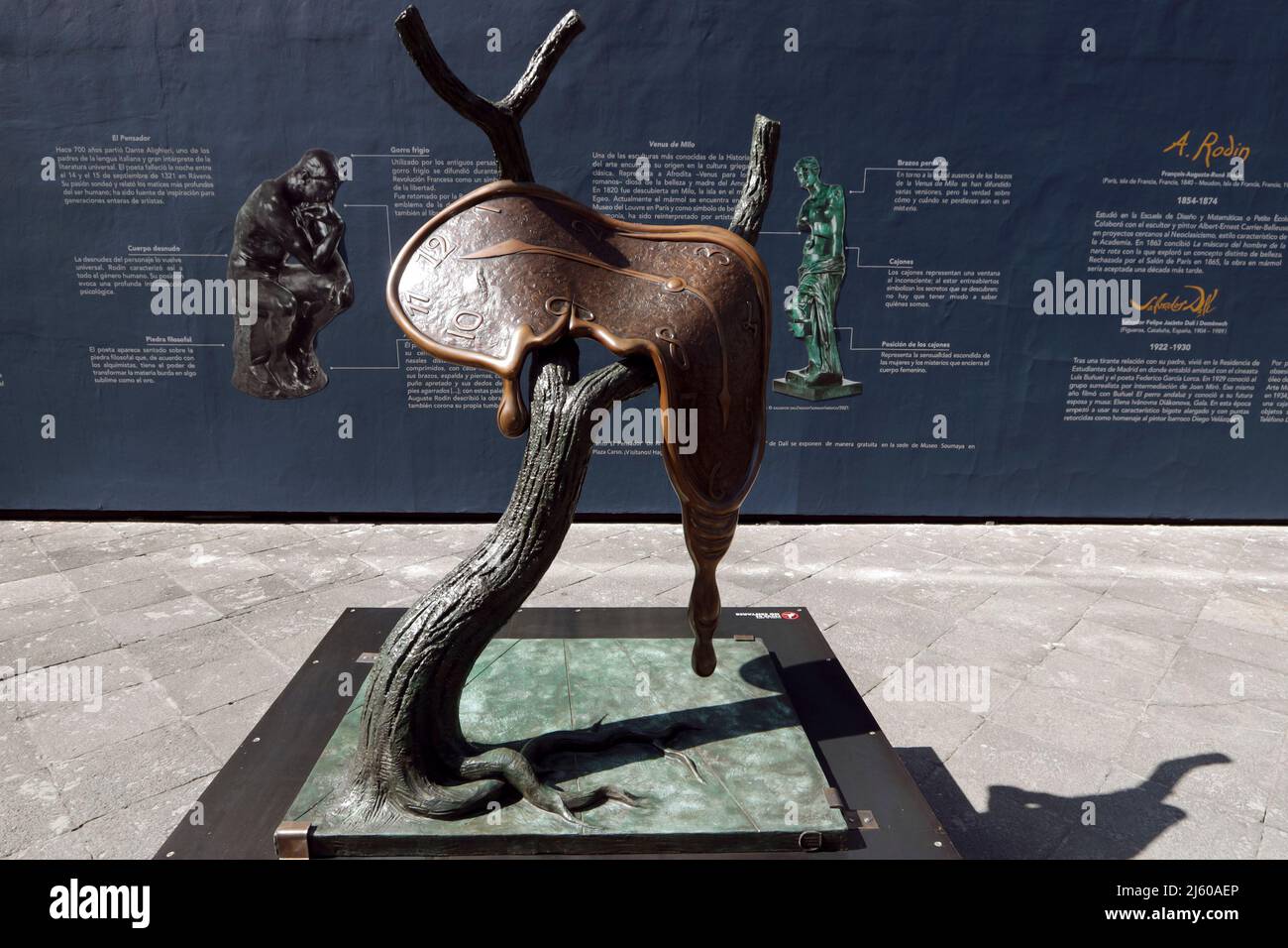 Ciudad de México, 8 diciembre de 2021.- Centro Histórico Inauguración de la muestra “Rodin y Dalí”, obras que salen de Museo Soumaya, se dan cita al aire libre en el antiguo atrio del templo de San Francisco. La muestra integra 15 esculturas que evocan el gesto crea en libertad. Una Exposición inédita de Fundación Carlos Slim en la que, por primera vez, se presente el bronce de Dalí, “Mujer con cabeza de rosas”. A partir del óleo surrealista de 1935, la obra de casi dos metros de altura, sue modelada y fundida it 1987. Foto: Francisco Morales/DAMMPHOTO Foto Stock