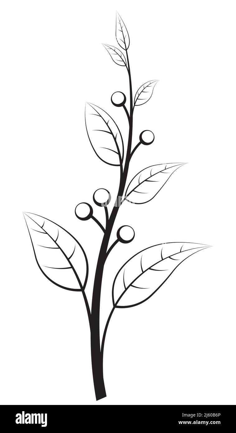 Elegante ramo floreale con frutti di bosco. Illustrazione vettoriale per il vostro disegno. Illustrazione Vettoriale