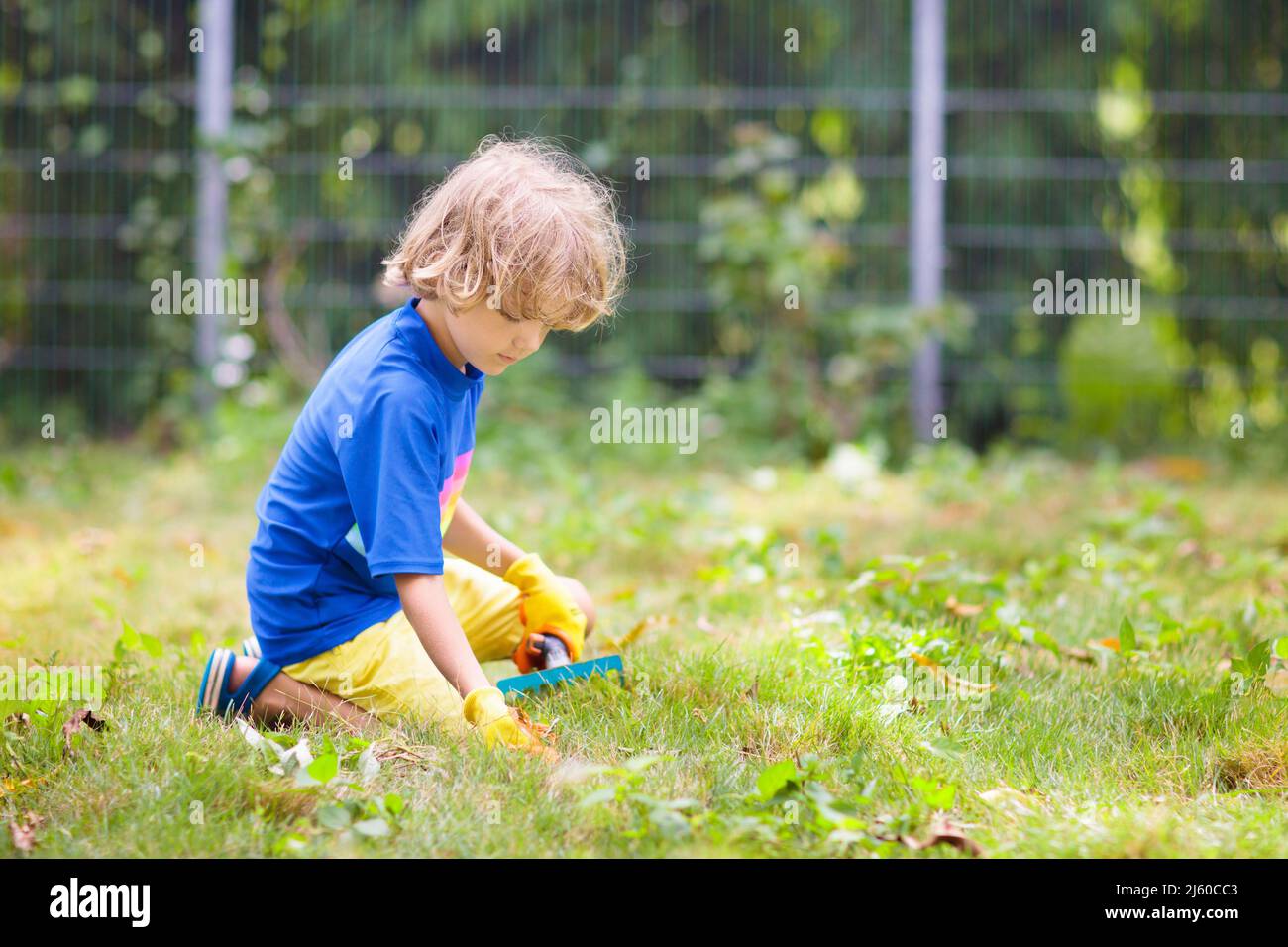 Giardinaggio di famiglia. I bambini aiutano in giardino. Ragazzino che tira le erbacce nel cortile soleggiato. Bambino che prende cura dell'erbaccia del prato. Foto Stock