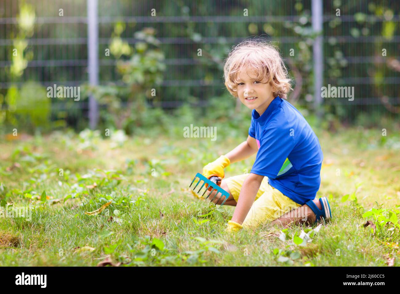 Giardinaggio di famiglia. I bambini aiutano in giardino. Ragazzino che tira le erbacce nel cortile soleggiato. Bambino che prende cura dell'erbaccia del prato. Foto Stock