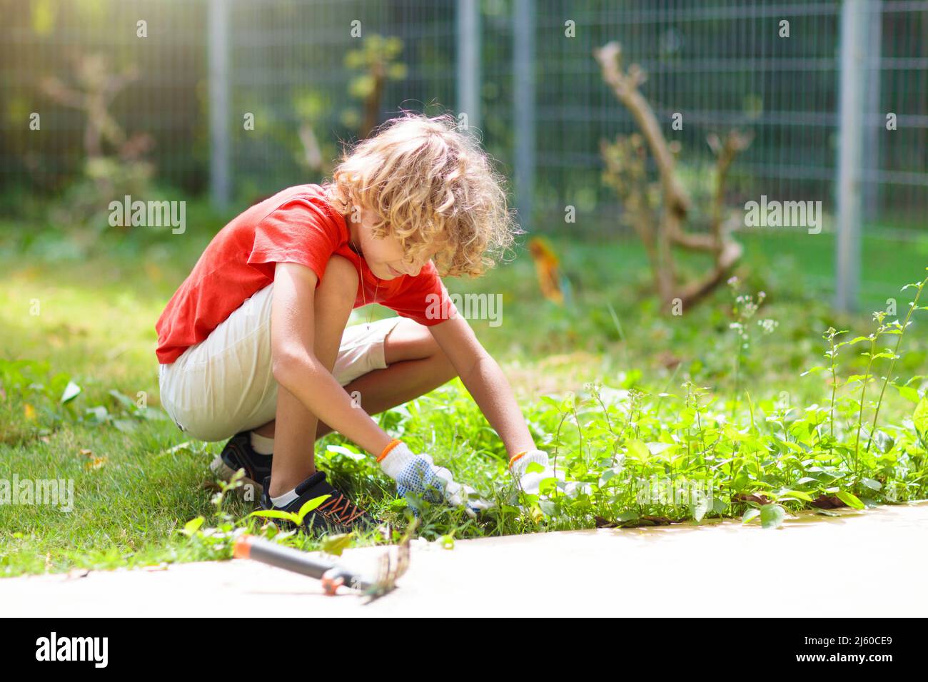 Giardinaggio di famiglia. I bambini aiutano in giardino. Ragazzino che tira le erbacce nel cortile soleggiato. Bambino che prende cura dell'erbaccia del prato. Foto Stock