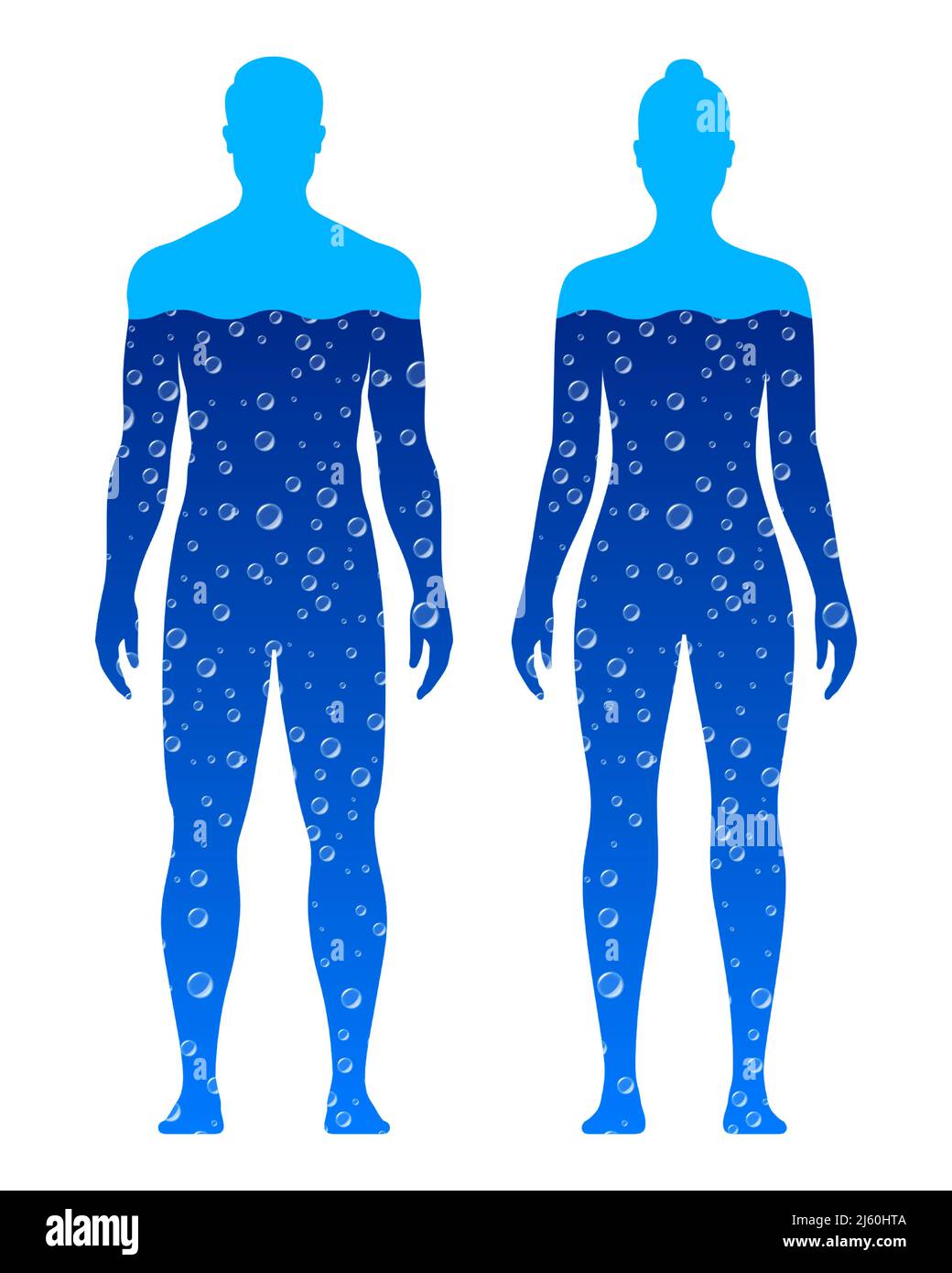 Silhouette corpo maschile e femminile, piene di acqua blu, isolate su sfondo bianco. Illustrazione del vettore della composizione dell'acqua del corpo umano. Illustrazione Vettoriale