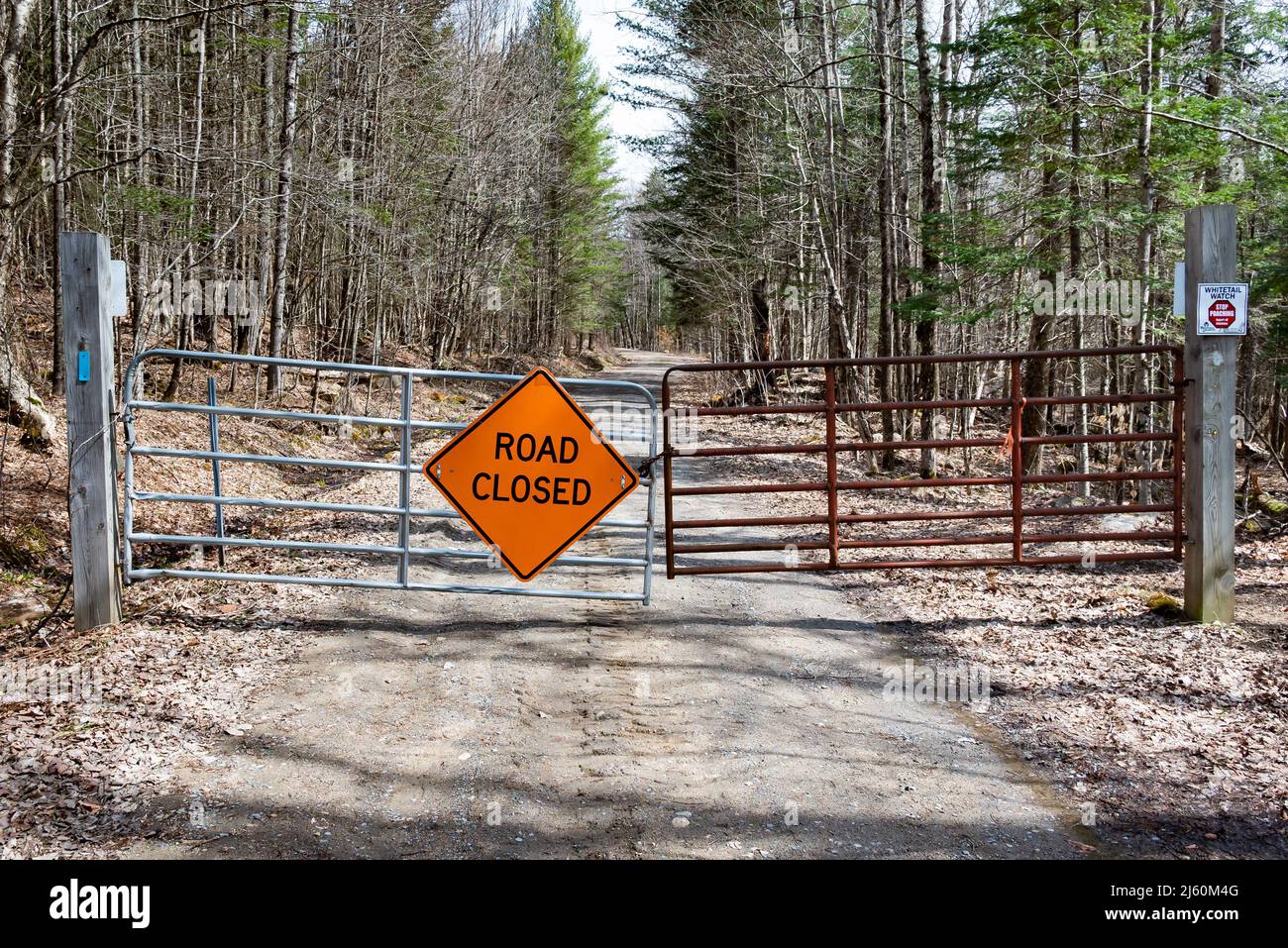 Un cancello di metallo bloccato con un cartello stradale chiuso su una strada di disboscamento nella Speculator Tree Farm nelle Adirondack Mountains, NY USA all'inizio della primavera Foto Stock