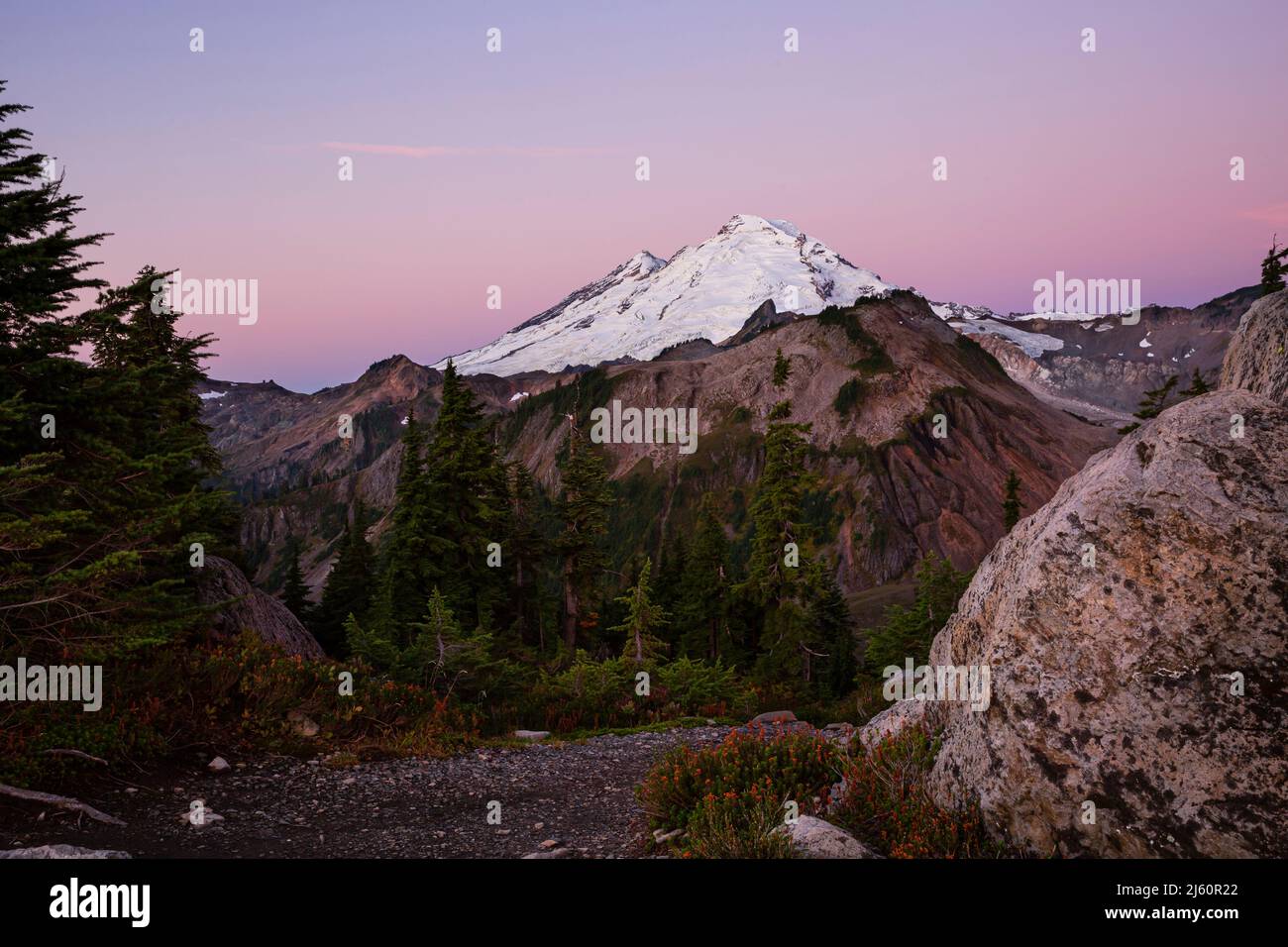 WA21470-00...WASHINGTON - bagliore di prima mattina sul Monte Baker da Artist Point nella Mount Baker-Snoqualmie National Forest. Foto Stock