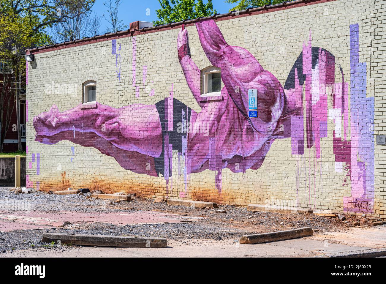 Muro dipinto di mattoni murale di Taylor White nel quartiere Oakhurst di Decatur, Georgia, appena ad est di Atlanta. (USA) Foto Stock