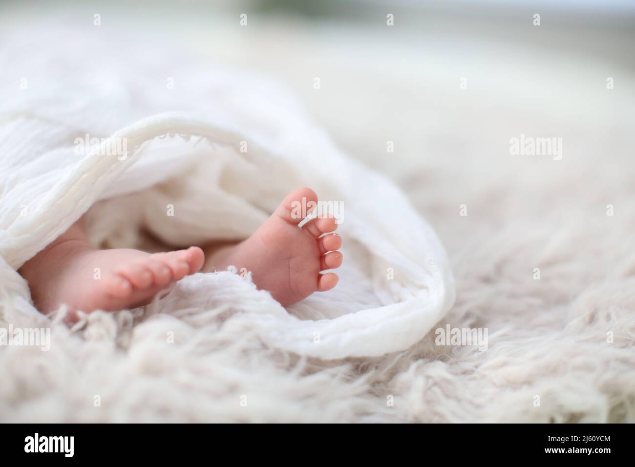 I piedi del neonato, avvolti in modo lasco in una spatola bianca su una coperta di pelliccia sfumata. Foto di Katherine Penn Foto Stock