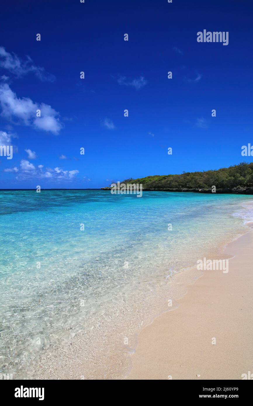 Spiaggia sabbiosa a Gee isola Ouvea in laguna, Isole della Lealtà, Nuova Caledonia. La laguna è stato elencato come patrimonio mondiale dell'Unesco nel 2008. Foto Stock