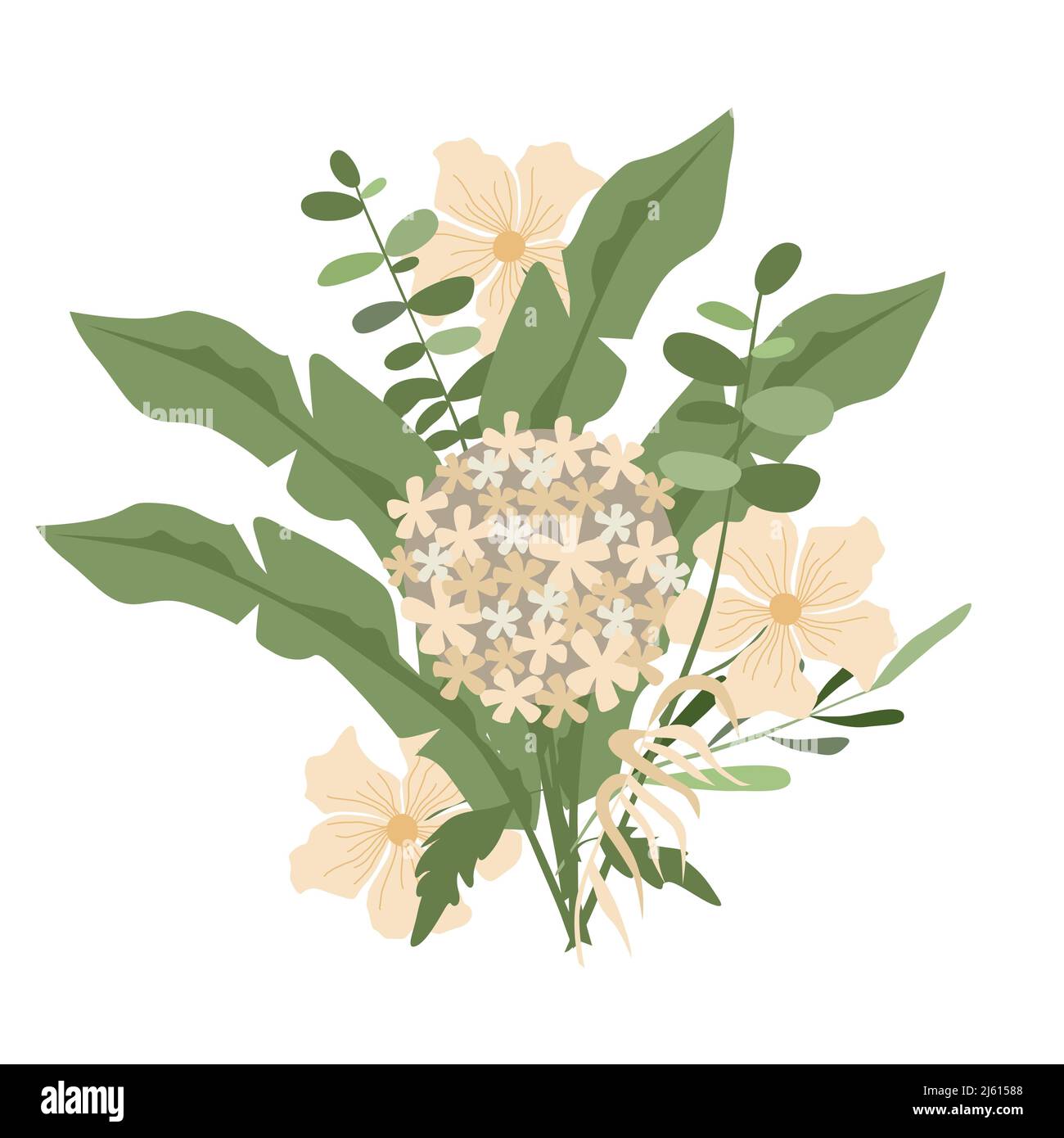 Bouquet di fiori, illustrazione vettoriale, fiori bianchi e crema, verde. Isolato su sfondo bianco. Illustrazione di moda in tendenza Illustrazione Vettoriale