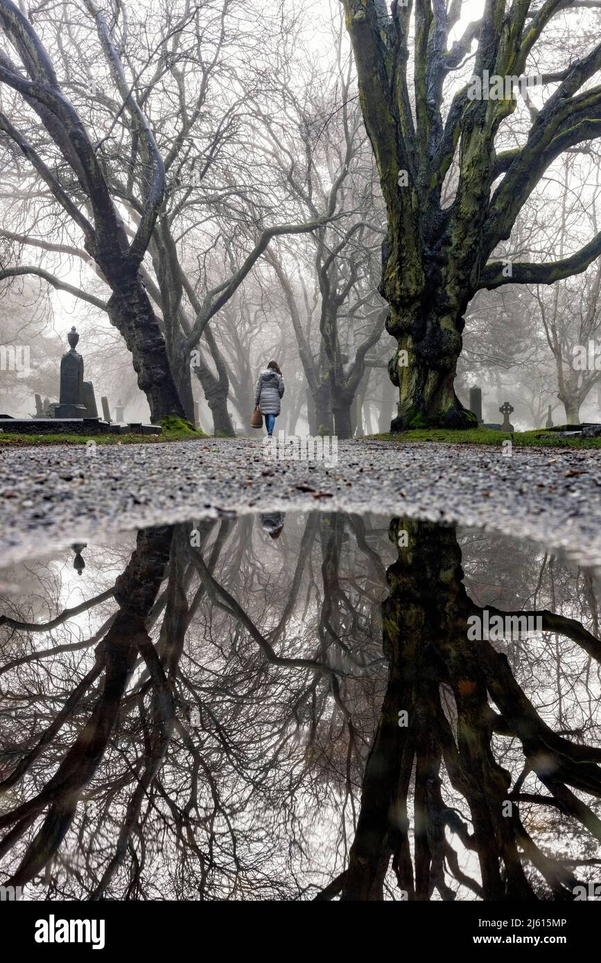 Il sentiero fiancheggiato da alberi di nebbia si riflette nel cimitero di Ross Bay - Victoria, Vancouver Island, British Columbia, Canada [B&W Image] Foto Stock