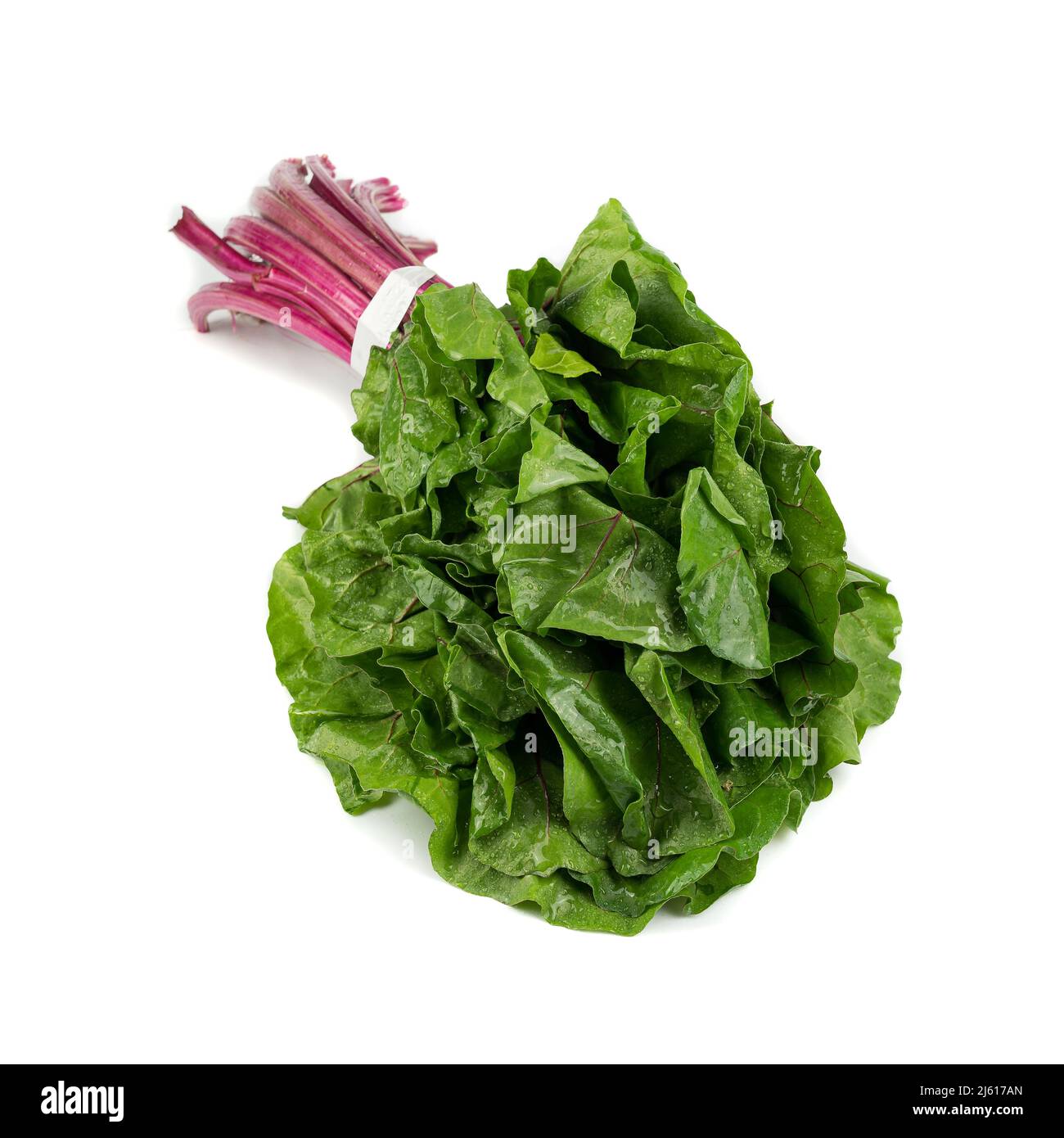 Mazzo di strutto rosso raggruppato insieme, fresco aspetto con gocce d'acqua, isolato su sfondo bianco. Verdure sfondo e spazio di copia. Foto Stock