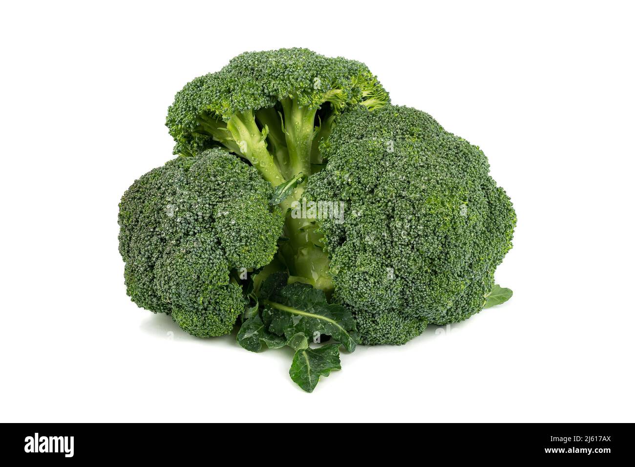 gruppo di broccoli verdi molto freschi con gocce d'acqua, isolati su sfondo bianco. Sfondo di verdure con spazio di copia. Foto Stock