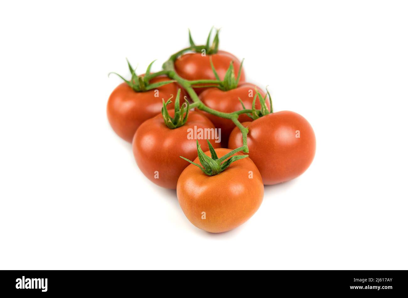 Gruppo di pomodori rossi su ramo, sei unità, isolato su sfondo bianco. Frutta e verdura sfondo, spazio copia. Foto Stock