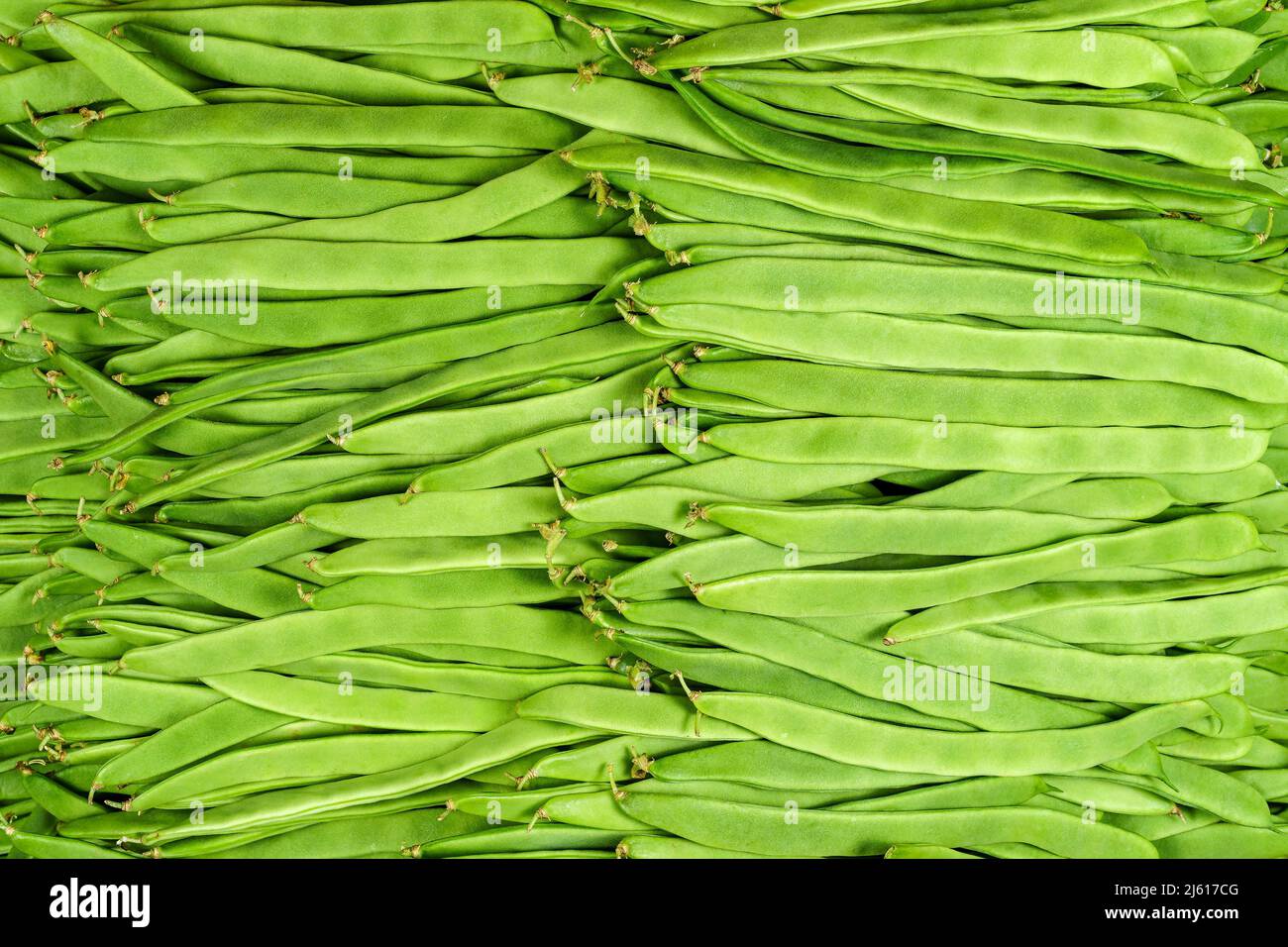 Sfondo di molti fagioli verdi, vista dall'alto, fotografia da studio del cibo. Foto Stock