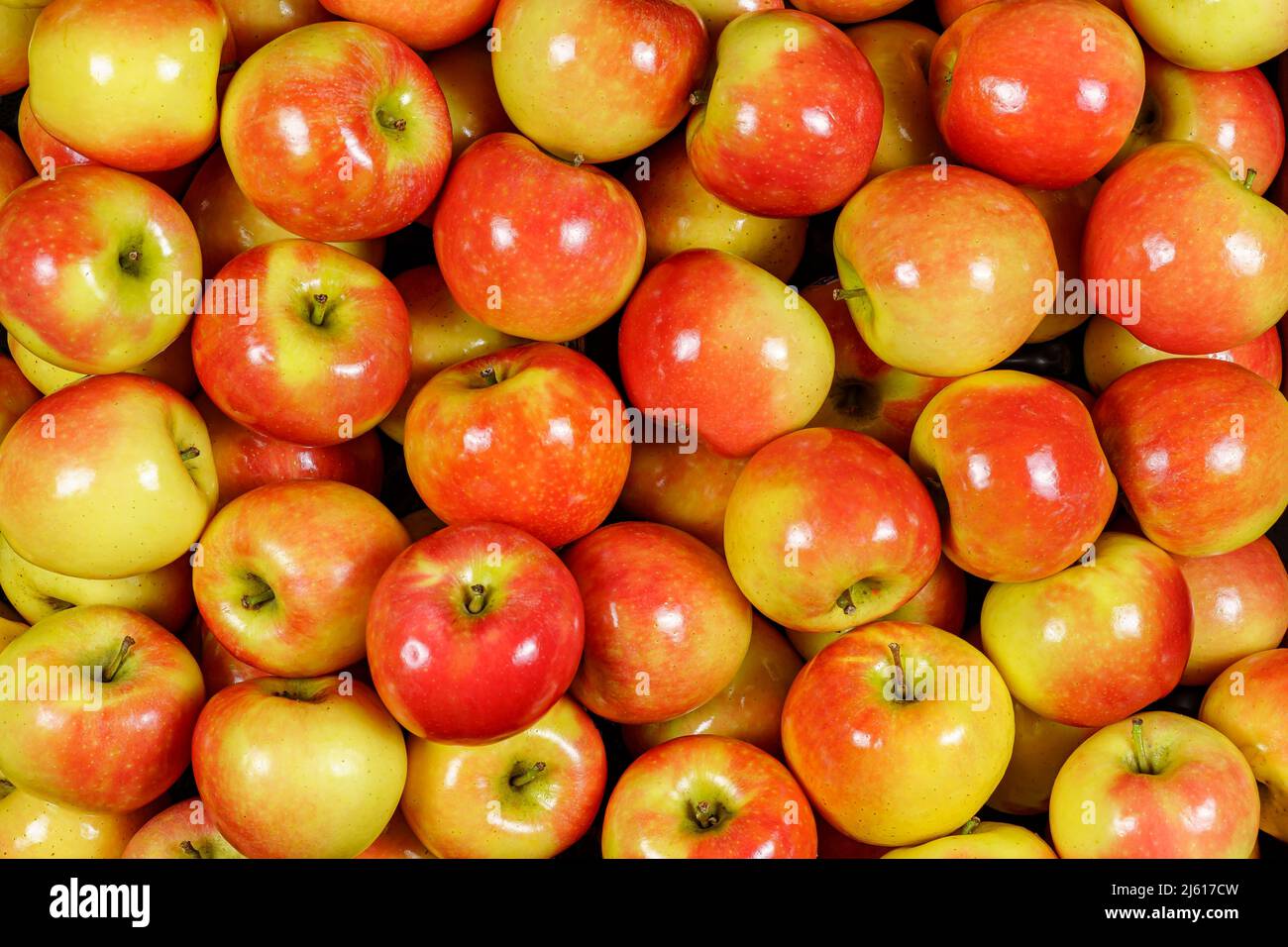 Sfondo di molti pezzi di mele kanzi, vista dall'alto, fotografia da studio. Foto Stock