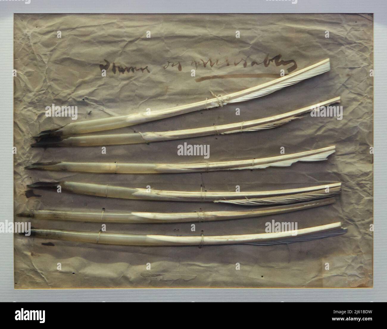 Piume utilizzate dal romanziere francese Victor Hugo per scrivere il suo romanzo 'Les Misérables' (1860-1865) in mostra nella Maison de Victor Hugo di Parigi, Francia. Foto Stock