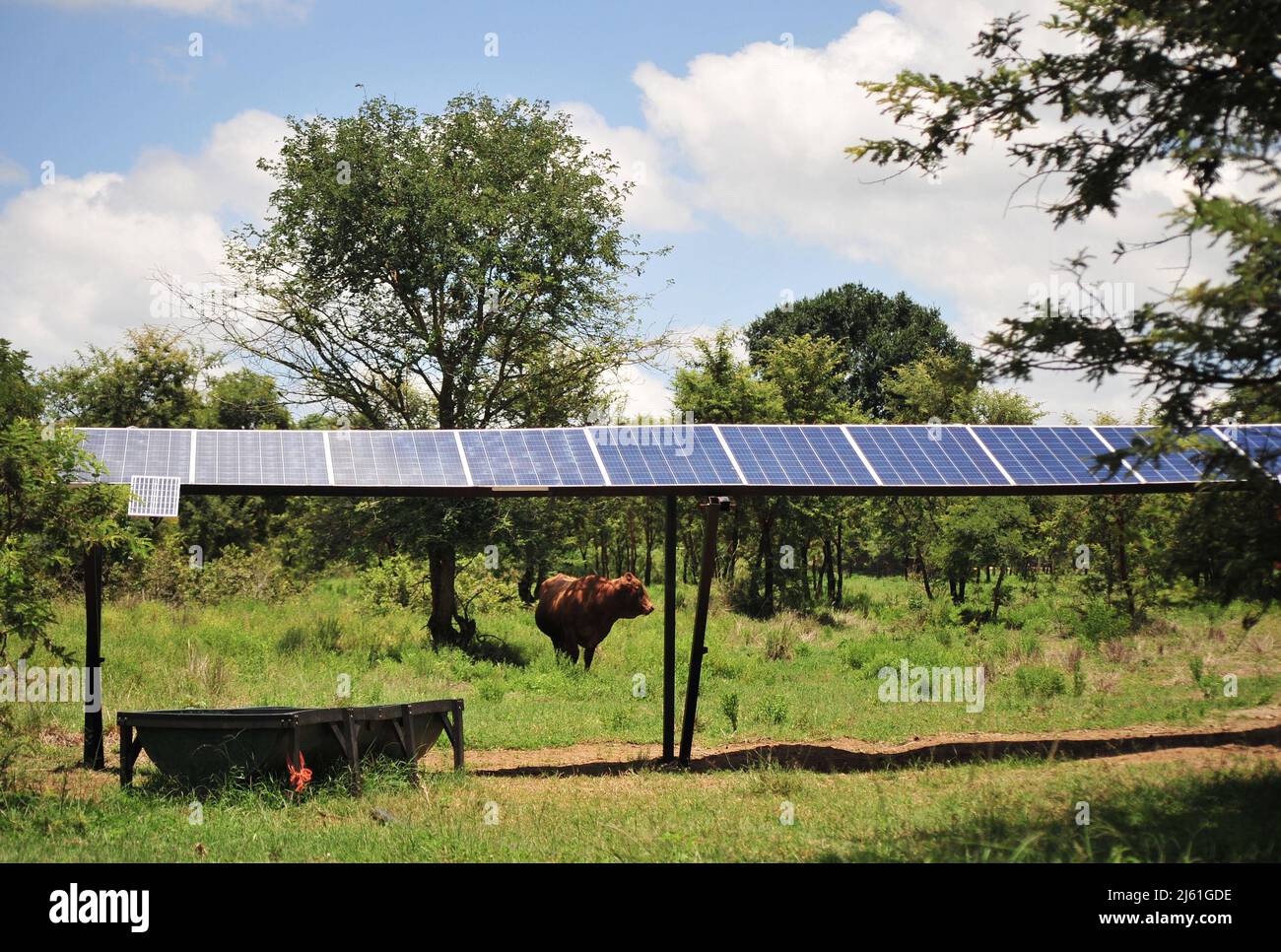 Il villaggio sudafricano abbraccia l'energia solare Foto Stock