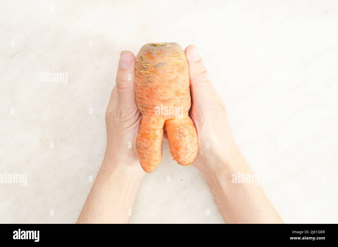 Le mani tengono brutta carota nella forma di un piccolo uomo su sfondo bianco.Funny, vegetale anormale o concetto di spreco di cibo. Foto Stock