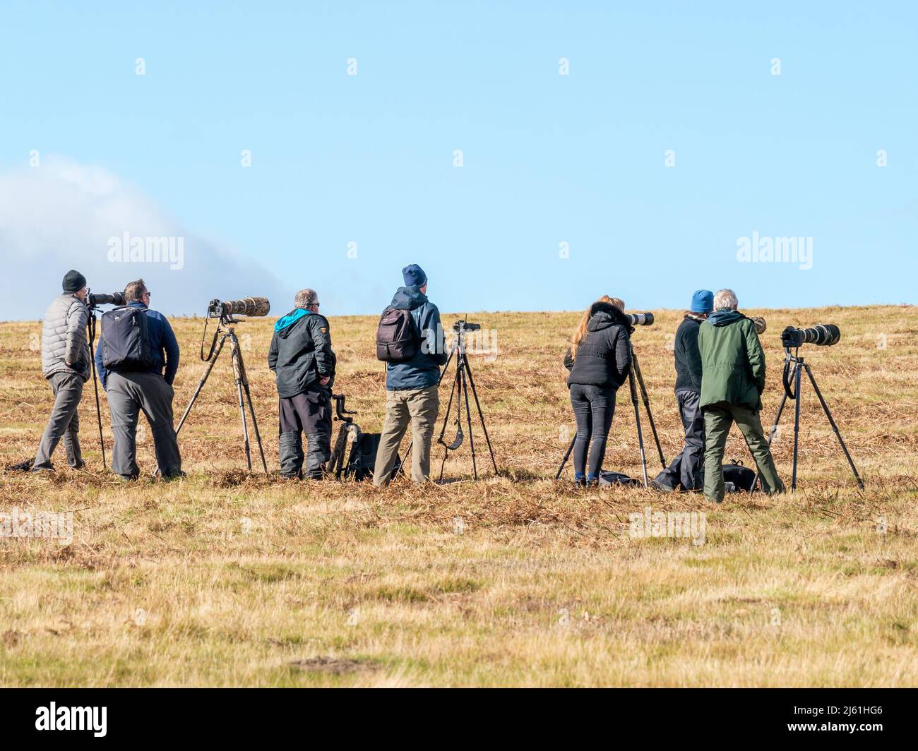 Fotografi di fauna selvatica con cavalletti e lenti lunghe fotografando la fauna selvatica a Bradgate Park, Leicestershire, Inghilterra Regno Unito Foto Stock