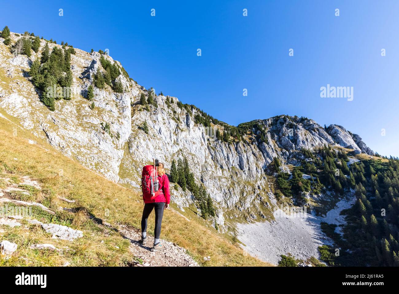 Donna escursionista ammirando il paesaggio delle Prealpi bavaresi Foto Stock
