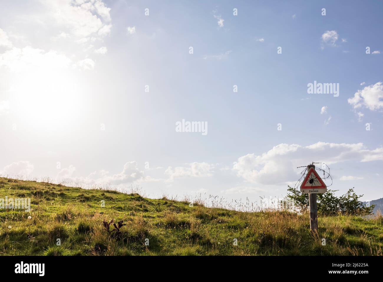 Sole che brilla su attenzione di zecche segno di avvertimento in piedi nel pascolo estivo Foto Stock