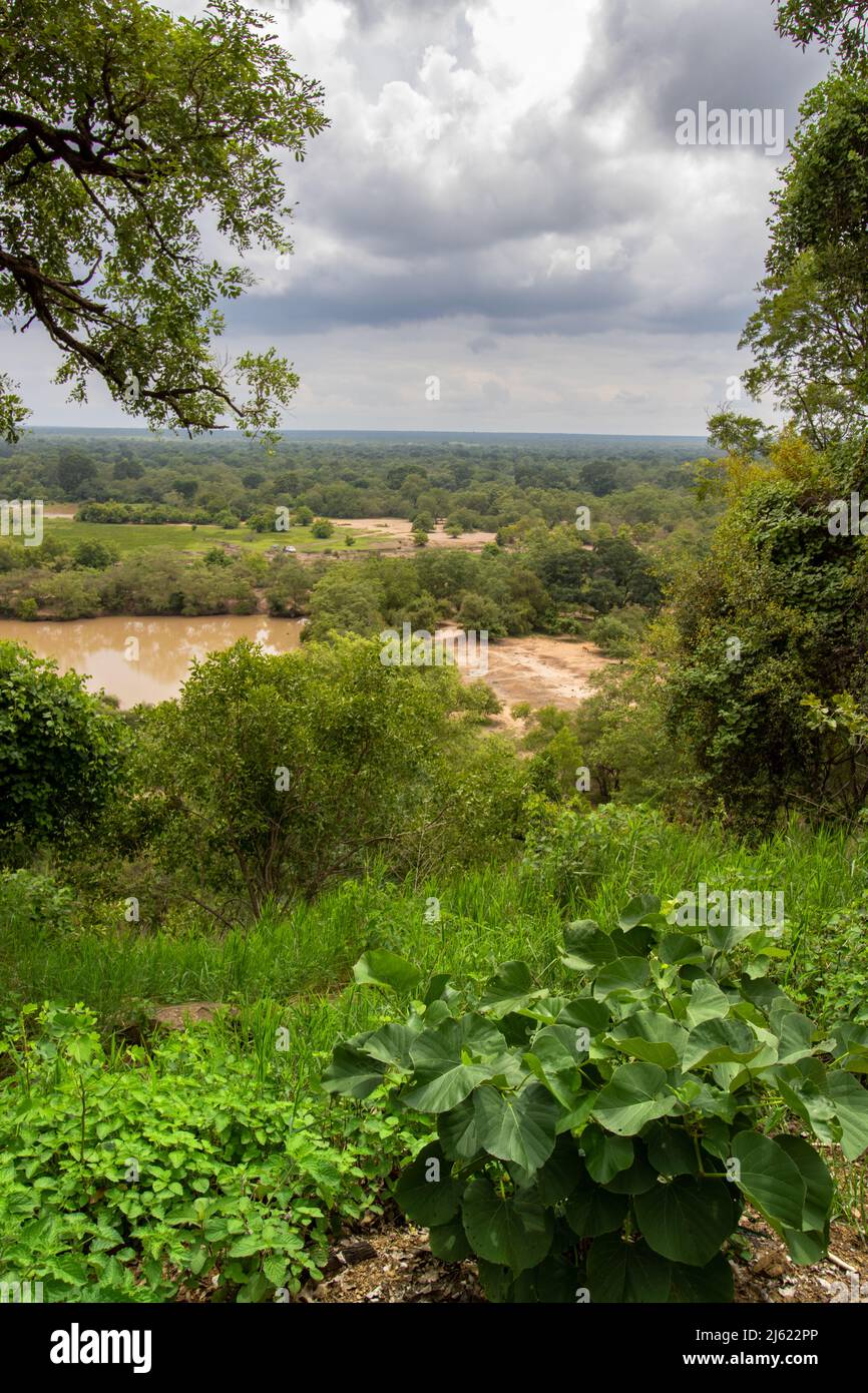 Vista dal Mole Motel nel Parco Nazionale di Mole Foto Stock