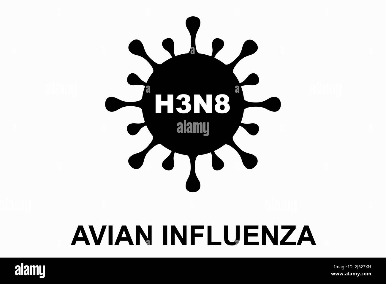 Influenza aviaria (H3N8). Casi umani di denuncia aviaria H3N8. Illustrazione del virus dell'influenza aviaria. H5N1 malattia epidemica di influenza aviaria. Pericolo pandemico cinese. Foto Stock