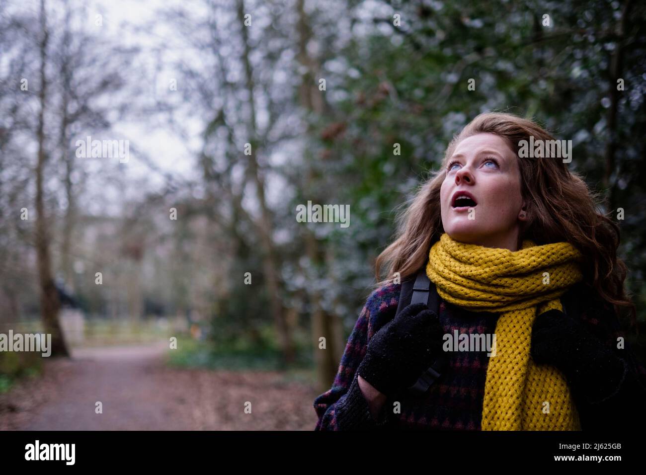 Giovane donna con bocca aperta guardando in su nella foresta Foto Stock