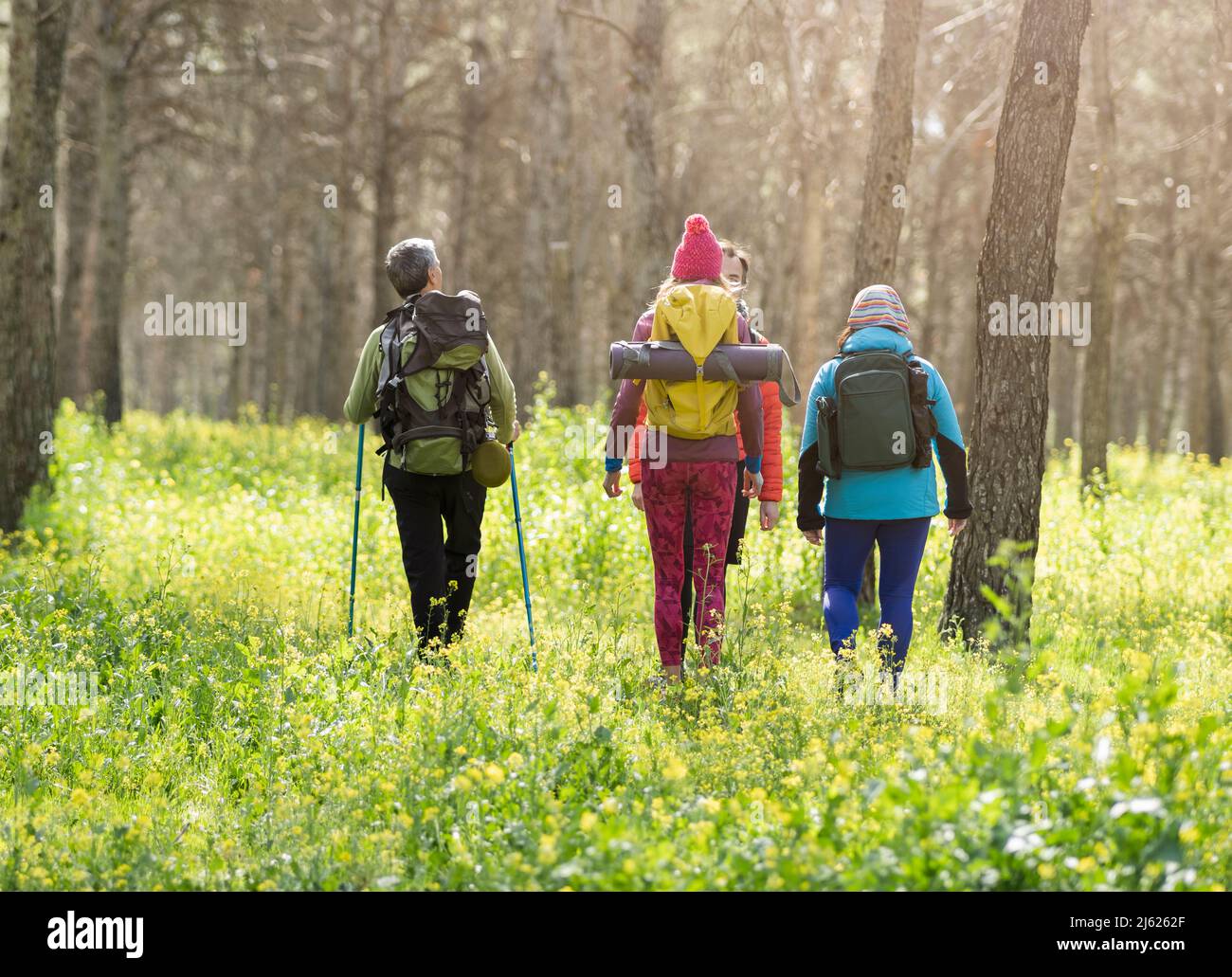 Uomini e donne maturi che indossano zaini che camminano nella foresta Foto Stock