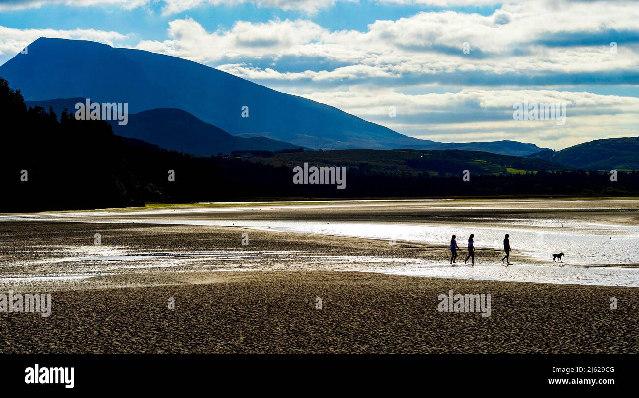 Tre adolescenti e il loro cane camminano verso il mare all'ARDS Forest Park, sotto Muckish Mountain, Creeslough, County Donegal, Irlanda Foto Stock
