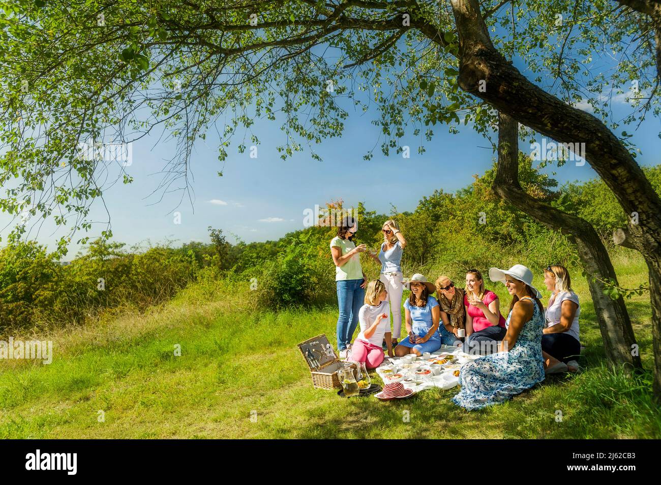 gruppo di donne che hanno un pic-nic sul prato estivo sotto l'albero Foto Stock