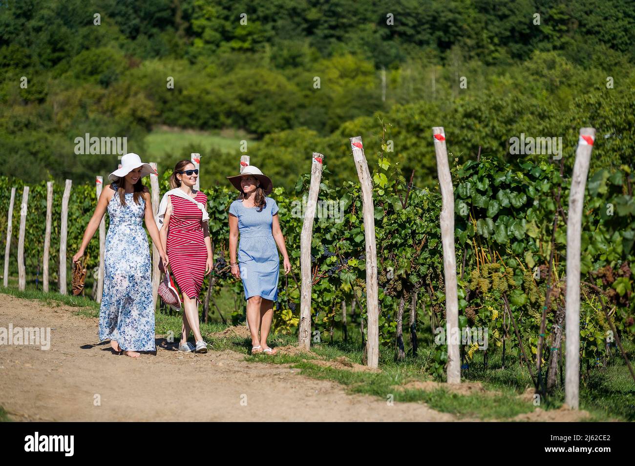 tre donne che passeggiando nel vigneto estivo Foto Stock