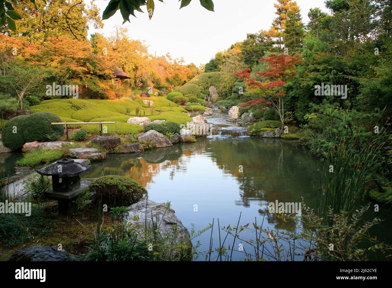 Un nuovo giardino laghetto o yoko-en di Taizo-in tempio con un flusso che cade intorno a rocce e azalee e si svuota in una piscina. Kyoto. Giappone Foto Stock