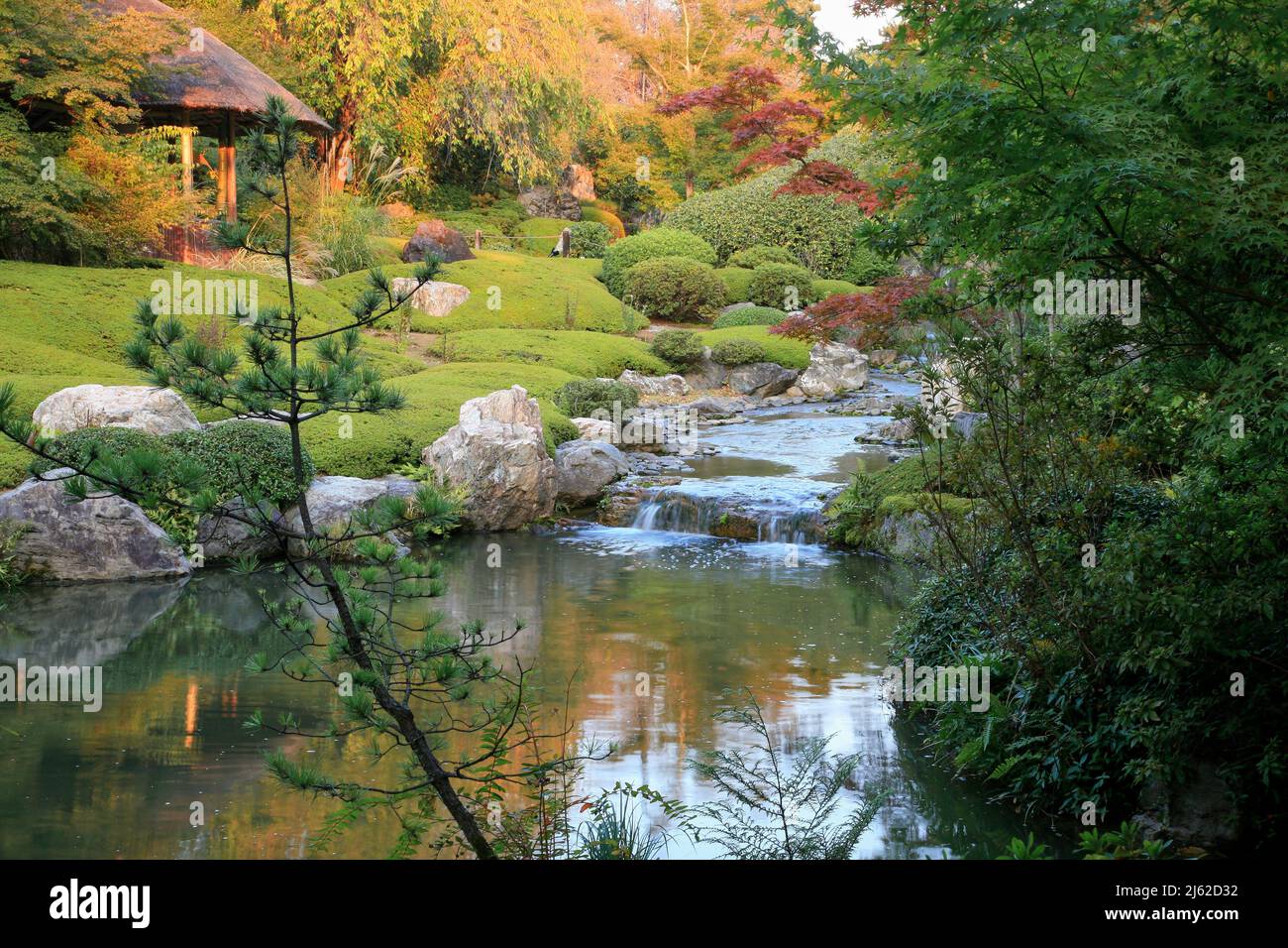 Un nuovo giardino laghetto o yoko-en di Taizo-in tempio con un flusso che cade intorno a rocce e azalee e si svuota in una piscina. Kyoto. Giappone Foto Stock
