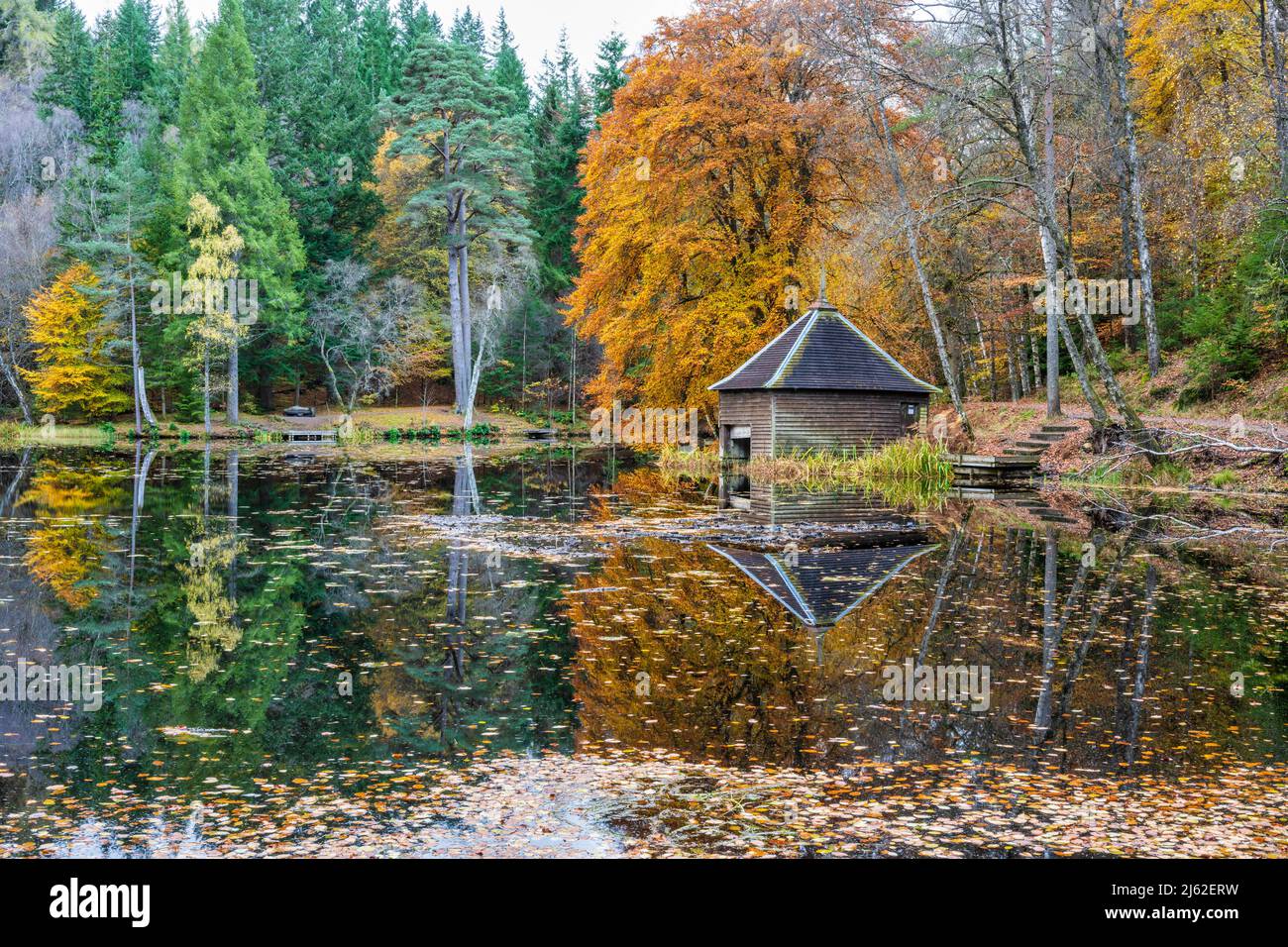 Autunno colori, Loch Dunmore Boathouse in Faskally Foresta vicino Pitlochry in Perthshire, Scozia, Regno Unito Foto Stock