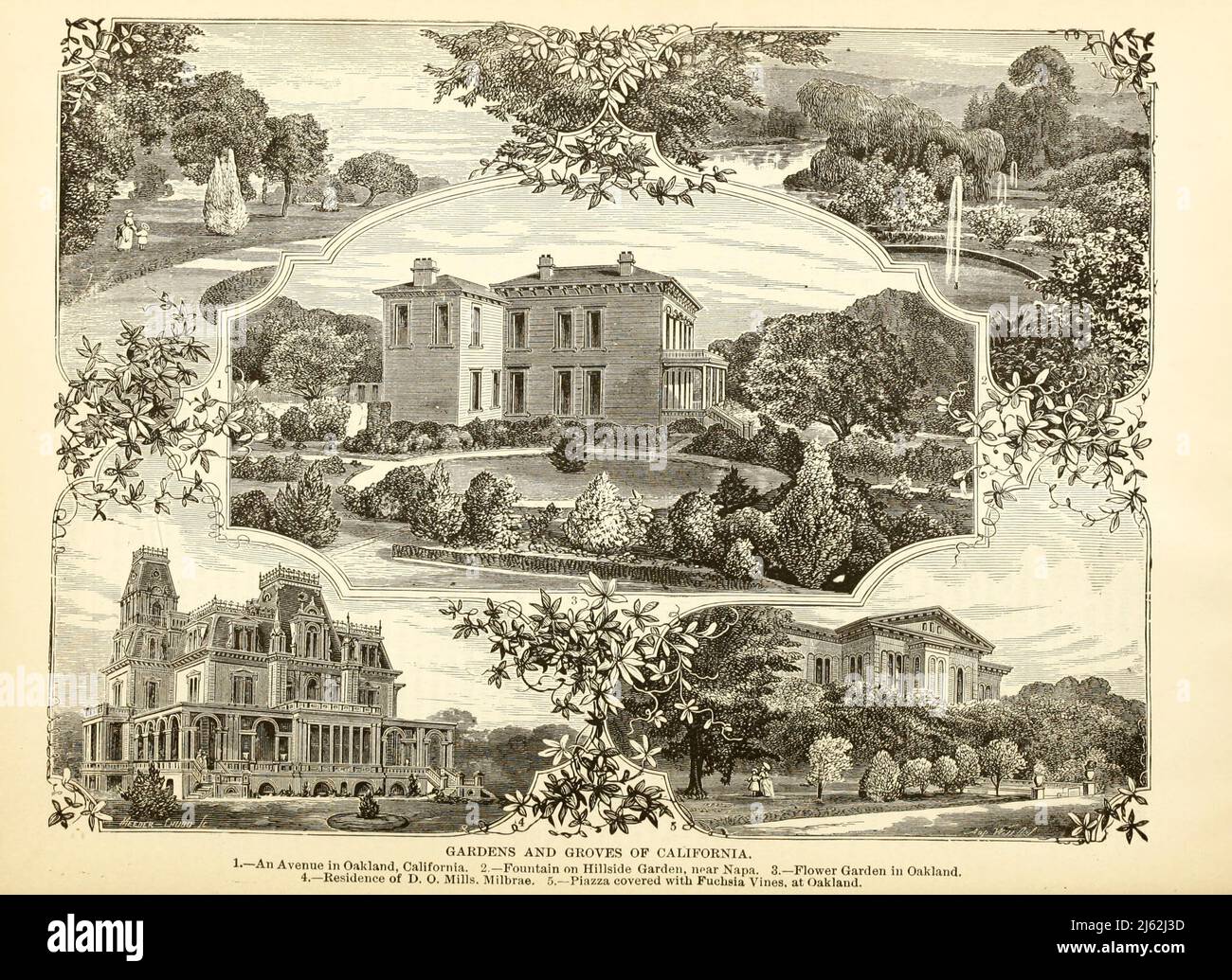 Giardino e boschetti della California 1. An Avenue a Oakland California; 2. Fontana sul Hillside Garden vicino Napa; 3. Giardino a Oakland 4. Residenza di D. O. Mills, Milbrae; 5. Piazza coperta di vigneti di Fuchsia a Oakland dal libro il turista del Pacifico : Adams & Bishop's illustrato guida trans-continentale di viaggio, dall'Atlantico all'Oceano Pacifico : Contenente descrizioni complete delle rotte ferroviarie in tutto il continente, tutte le località turistiche e luoghi di maggior nota paesaggio in Estremo Ovest, anche di tutte le città, città, villaggi, fortezze degli Stati Uniti, sorgenti, laghi, montagne, itinerari di viaggio estivo, Foto Stock