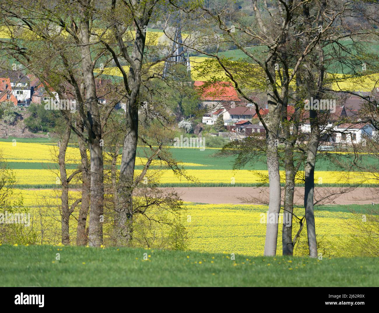 Vista di Bodenfelde, Distretto di Northeim, Bassa Sassonia, Germania, Europa Foto Stock