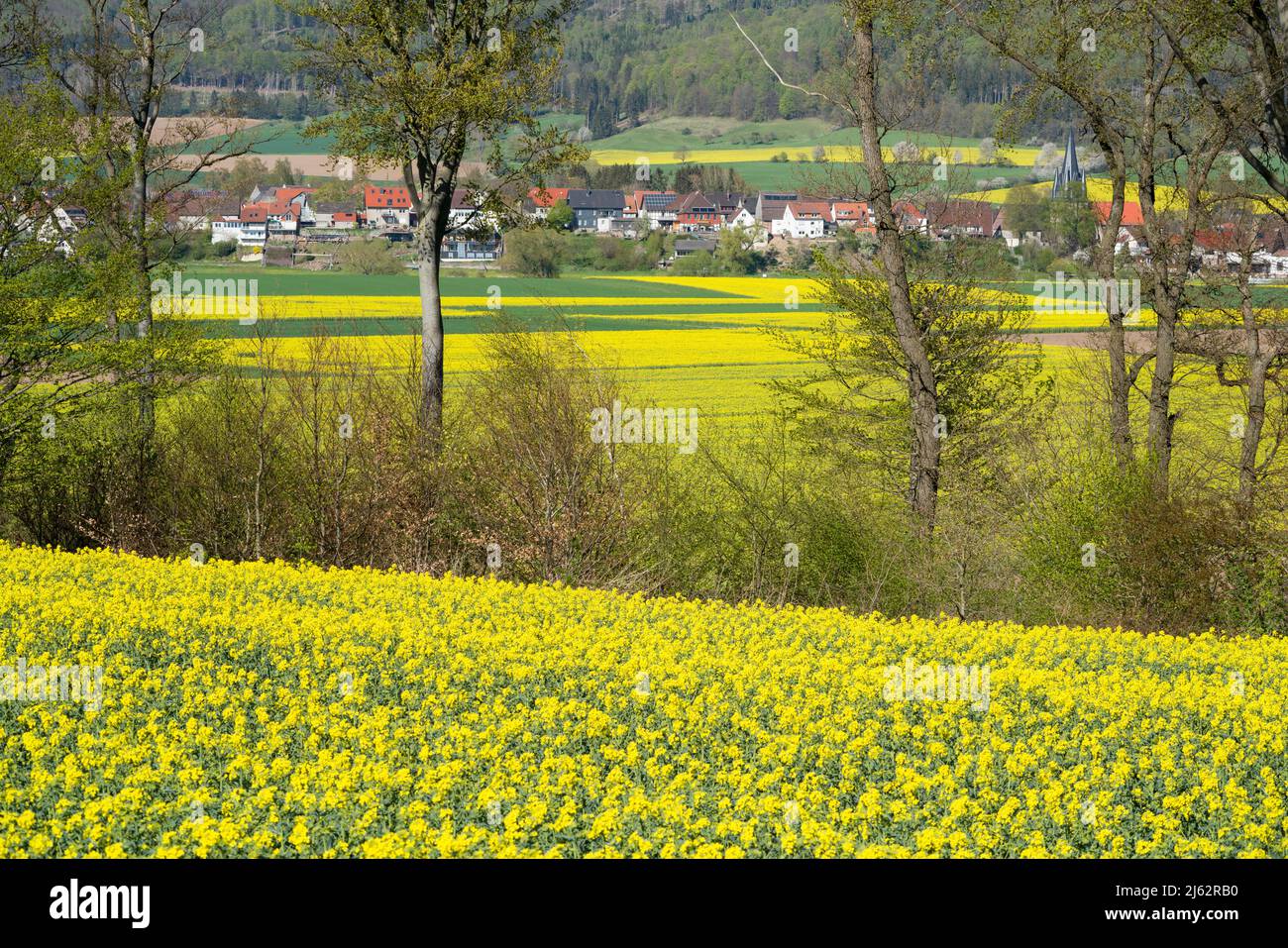 Vista di Bodenfelde, Distretto di Northeim, Bassa Sassonia, Germania, Europa Foto Stock